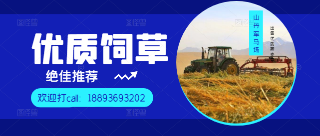 2.又大又长又粗又黄图片在线观看高清免费资源，最新合集下载，优质推荐