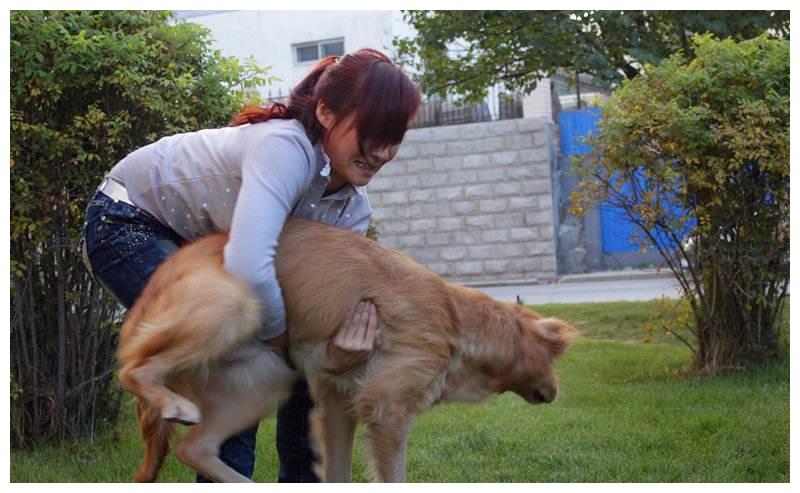 女人与大黄拘作爱免费故事，探索禁忌之恋，揭秘背后的情感纠葛与人性考验