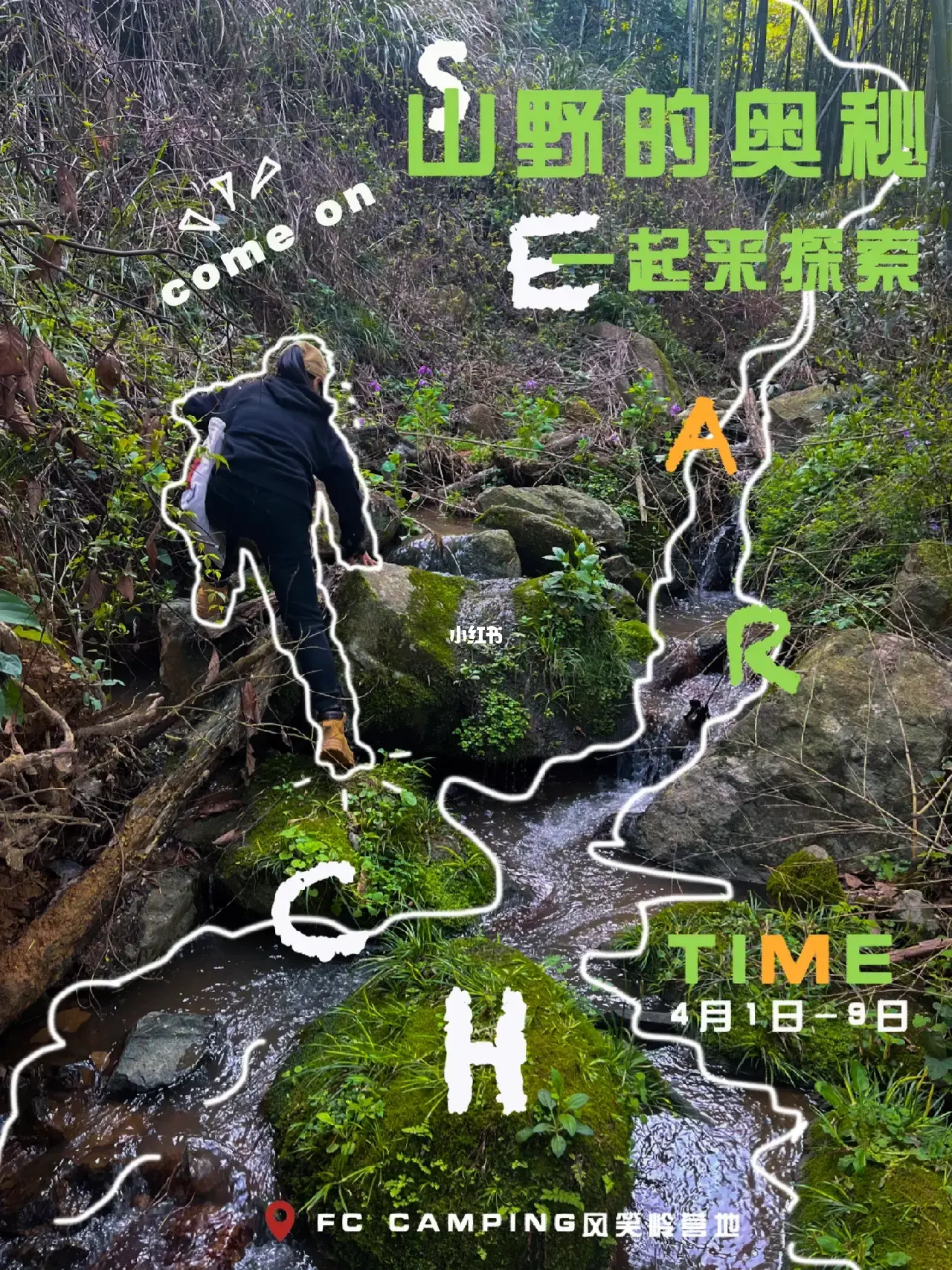 亚洲黄色青青草绽放自然之美，探索春日野趣，感受清新田园风光