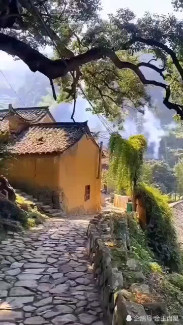 农村老熟妇肥BBBB的田园生活，乡村风情，质朴岁月