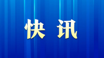 精品毛片观看高清资源免费在线欣赏，海量影片随心选，畅享视觉盛宴