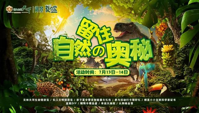 伊甸园18AV探索神秘乐园的奥秘，寻找失落的宝藏，开启奇幻之旅