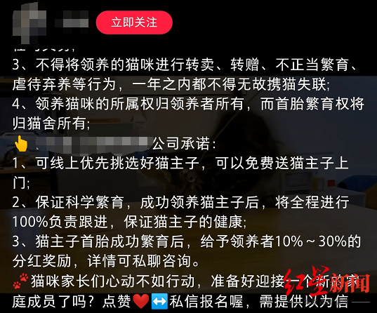 18岁女学生遭强奸案引发关注，免费国产浜资源引争议，社会呼吁加强法律保护