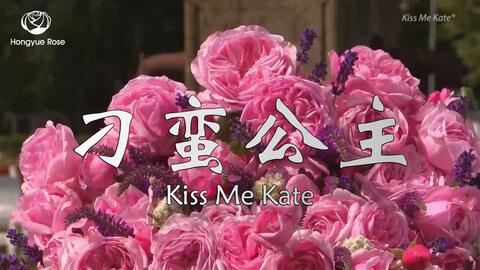 3.色欲婷婷，暗夜芬芳，蛊惑人心的危险之美