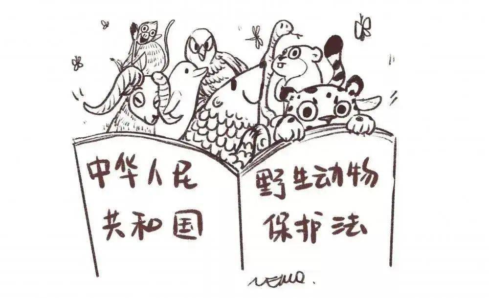 欧美人与狗激情交配引发热议，探讨伦理界限，关注动物权益保护