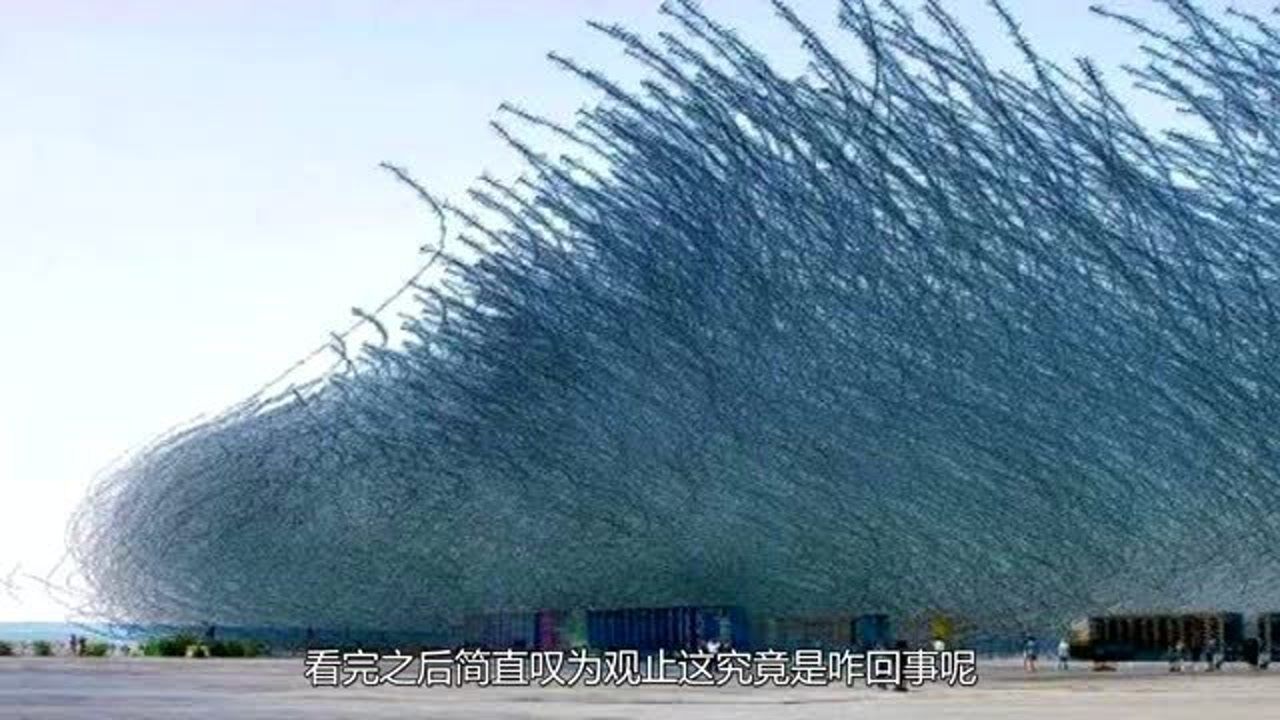 女女女女女处开BBB引发热议，探寻背后真相，揭秘独特现象