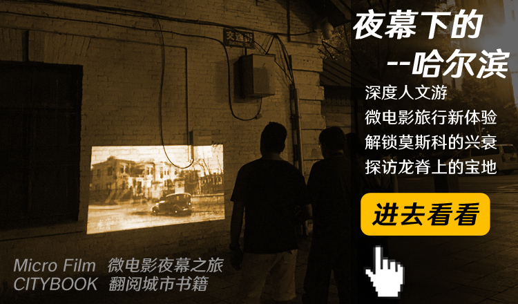 人与兽交AV网站揭秘，探索禁忌内容背后的真相，了解相关法律风险与道德争议