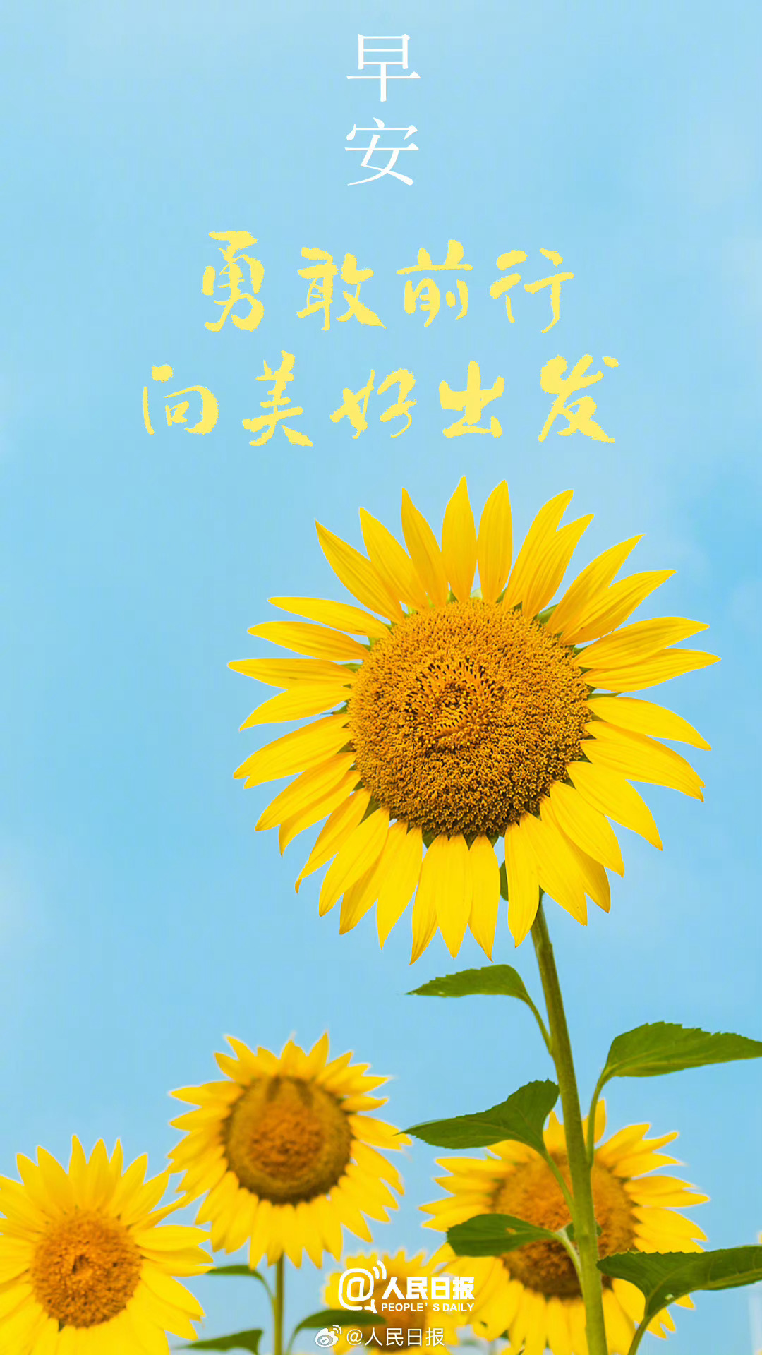 激情yV点燃生活火花，追逐梦想脚步，让每一天都充满活力与期待