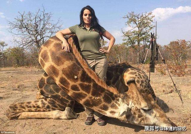 1.美女一级黄色片女人和动物交配 1.美女一级黄色片女人和动物交配
