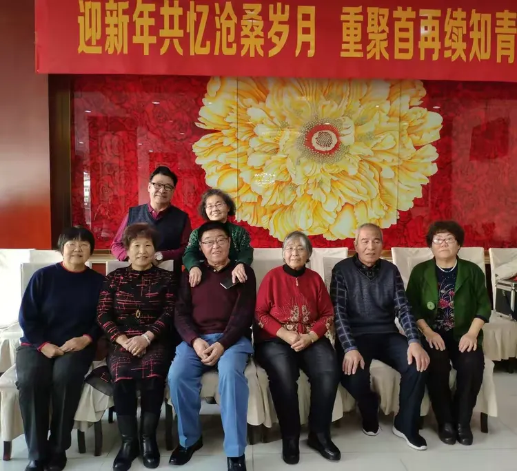 老太TVXXXX带你探索怀旧经典，重温岁月温情，发现生活新乐趣