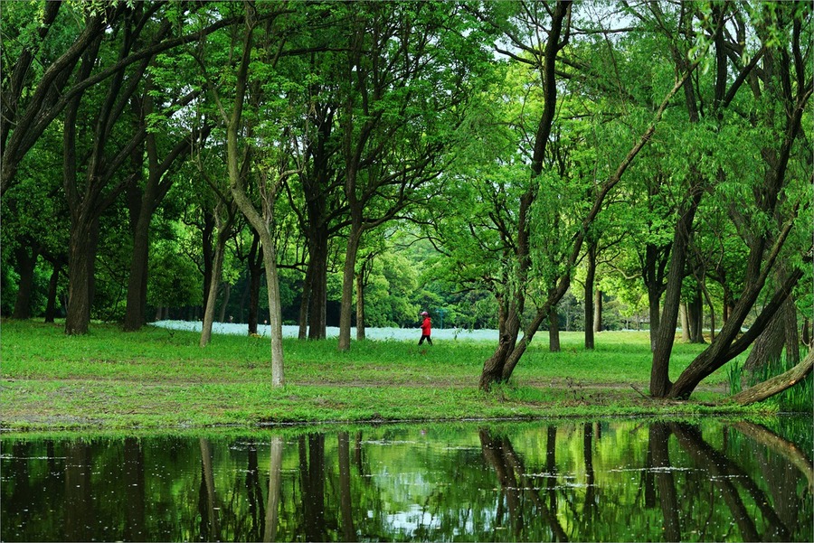 一区青青春意盎然，绿意满园风光好，踏青赏景正当时