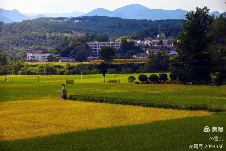 2.青青草黄色片，春日田园，自然风光，乡村美景如画