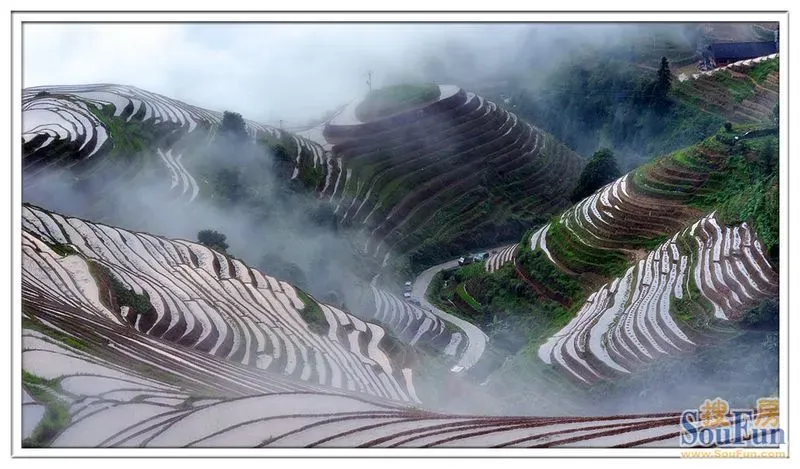 爱丝的秘密花园绽放浪漫与奇迹，温柔如诗，梦幻如画