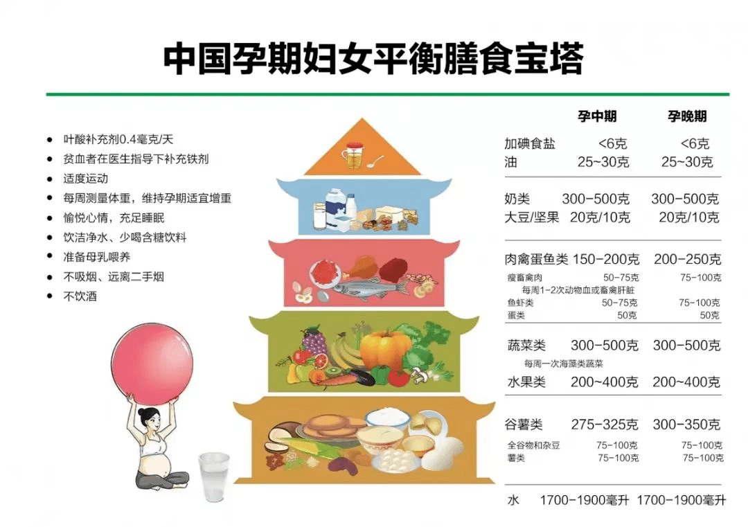 日本孕妇孕期营养指南，健康饮食建议，胎儿发育关键期注意事项