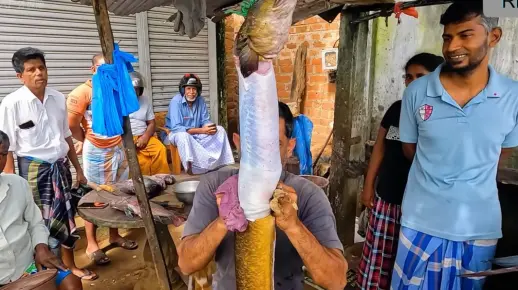又长又大又粗又黄又猛免费震撼来袭,超值体验,限时放送 又长又大又粗又黄又猛免费震撼来袭,超值体验,限时放送