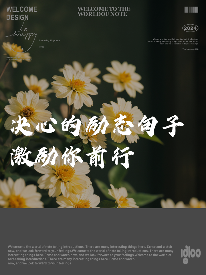 吕倩芸的成长故事与励志人生，分享她的奋斗历程，激励你我前行