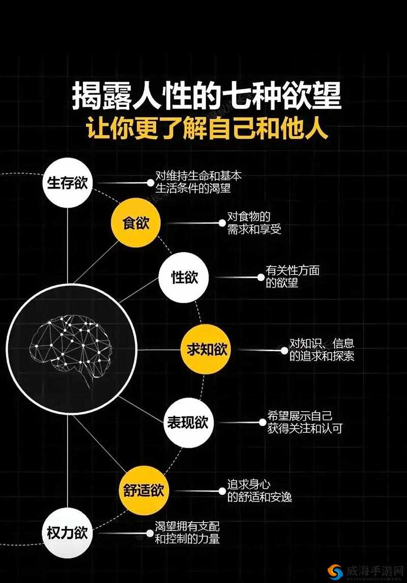 老外交换做爰HD中文浜，真实跨国文化交流，探索情感与欲望的边界，体验不一样的激情碰撞