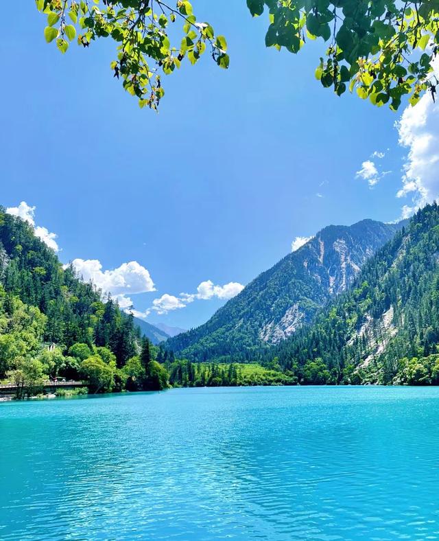 青青青草视频在线观看高清免费，畅享自然美景，感受清新草原风光