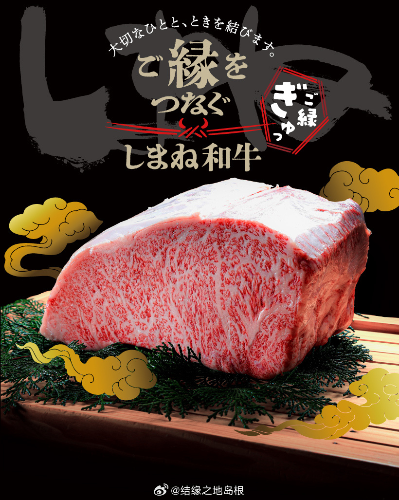 日本又黄又硬樱花季限定美景与美食探秘，东京大阪必打卡，温泉和牛体验