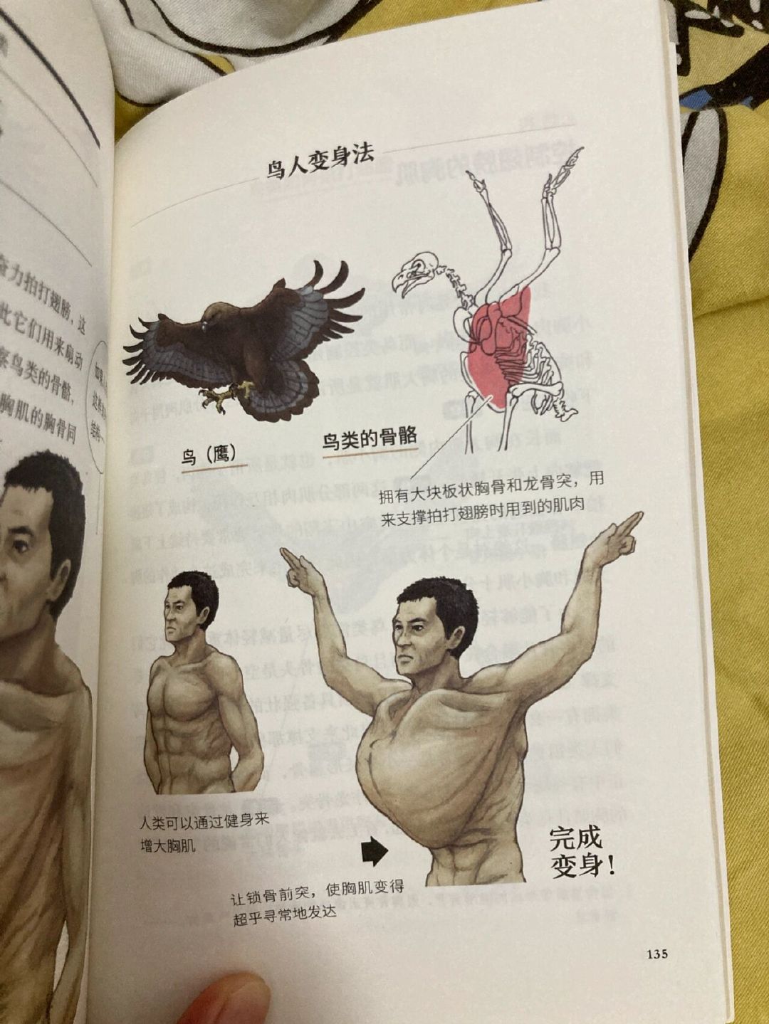 1.人与禽类交h文禁忌探索