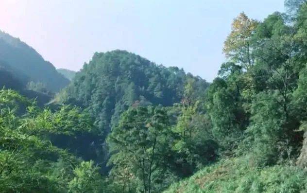 吕倩芸的成长故事与励志人生，分享她的奋斗历程，激励你我前行