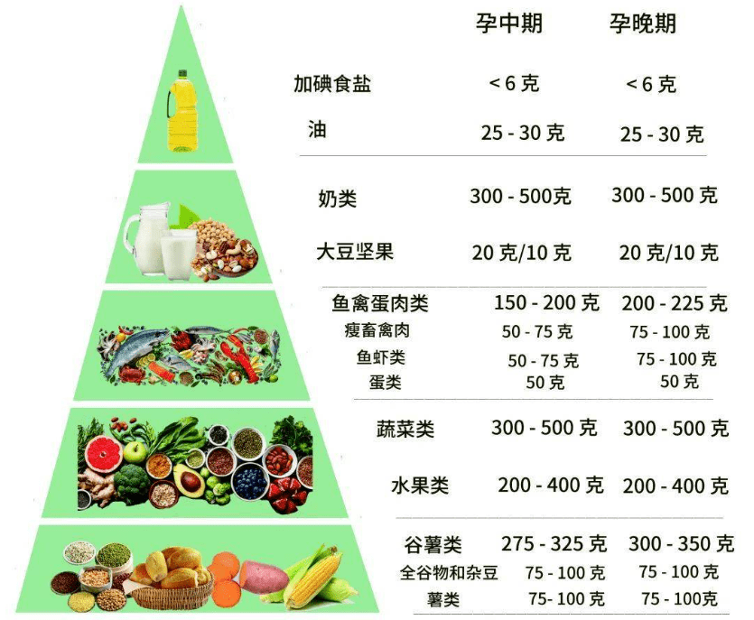 日本人体网探索健康奥秘，健身秘诀，营养指南