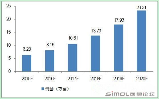 印度xxxxxx崛起之路，探索机遇与挑战，未来发展趋势分析