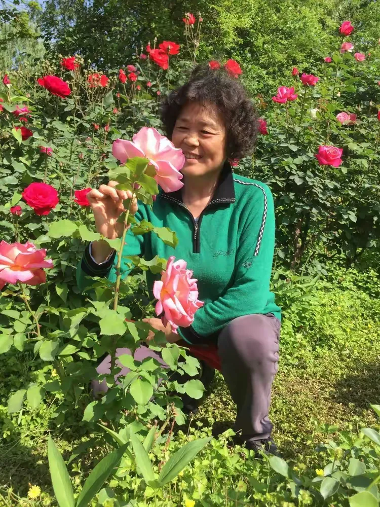 好日日操坚持锻炼提升健康活力，打造完美体态，享受快乐生活每一天