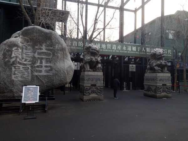 丝路瑰宝西域精品一区二区探秘，传奇珍藏，千年文化璀璨绽放