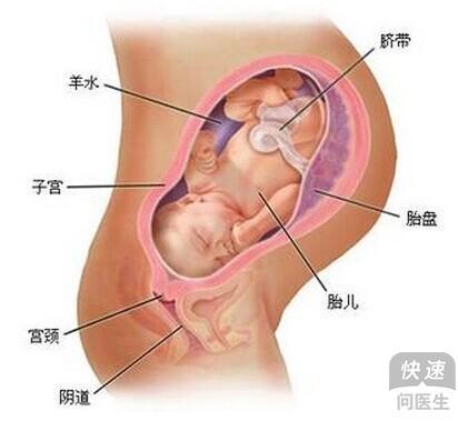 孕妇av孕期健康指南，营养运动注意事项，胎儿发育关键阶段