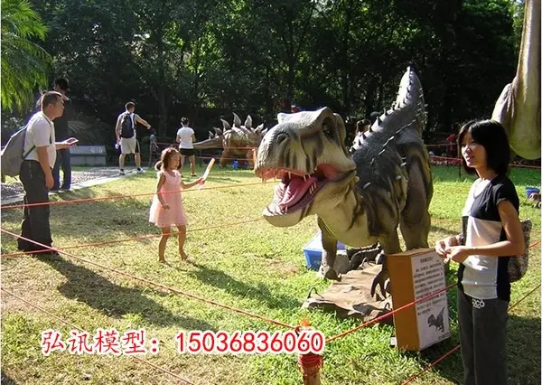 日本Xxxxwwww独特魅力探索，发现新奇玩法，体验文化风情