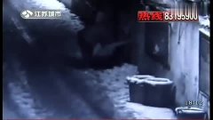 2.精彩刺激黄色视频，高清画质，极致体验，不容错过