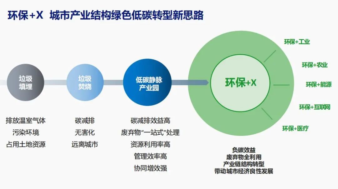 人与禽性动交行为研究及其生态影响分析，探讨共存模式，关注健康风险