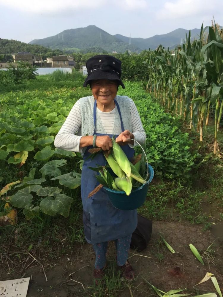 农村老太婆的田园生活，讲述乡村故事，传承质朴智慧与勤劳精神