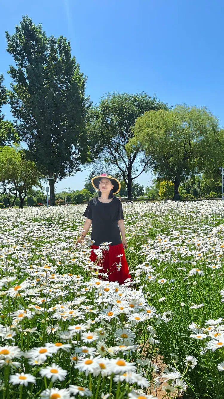 六月丁香AV绽放芬芳时节，浪漫初夏，邂逅醉人花海