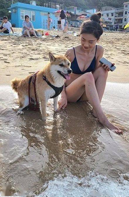 15岁少女与狗狗海边奔跑，高清治愈视频，少女与狗欢乐互动
