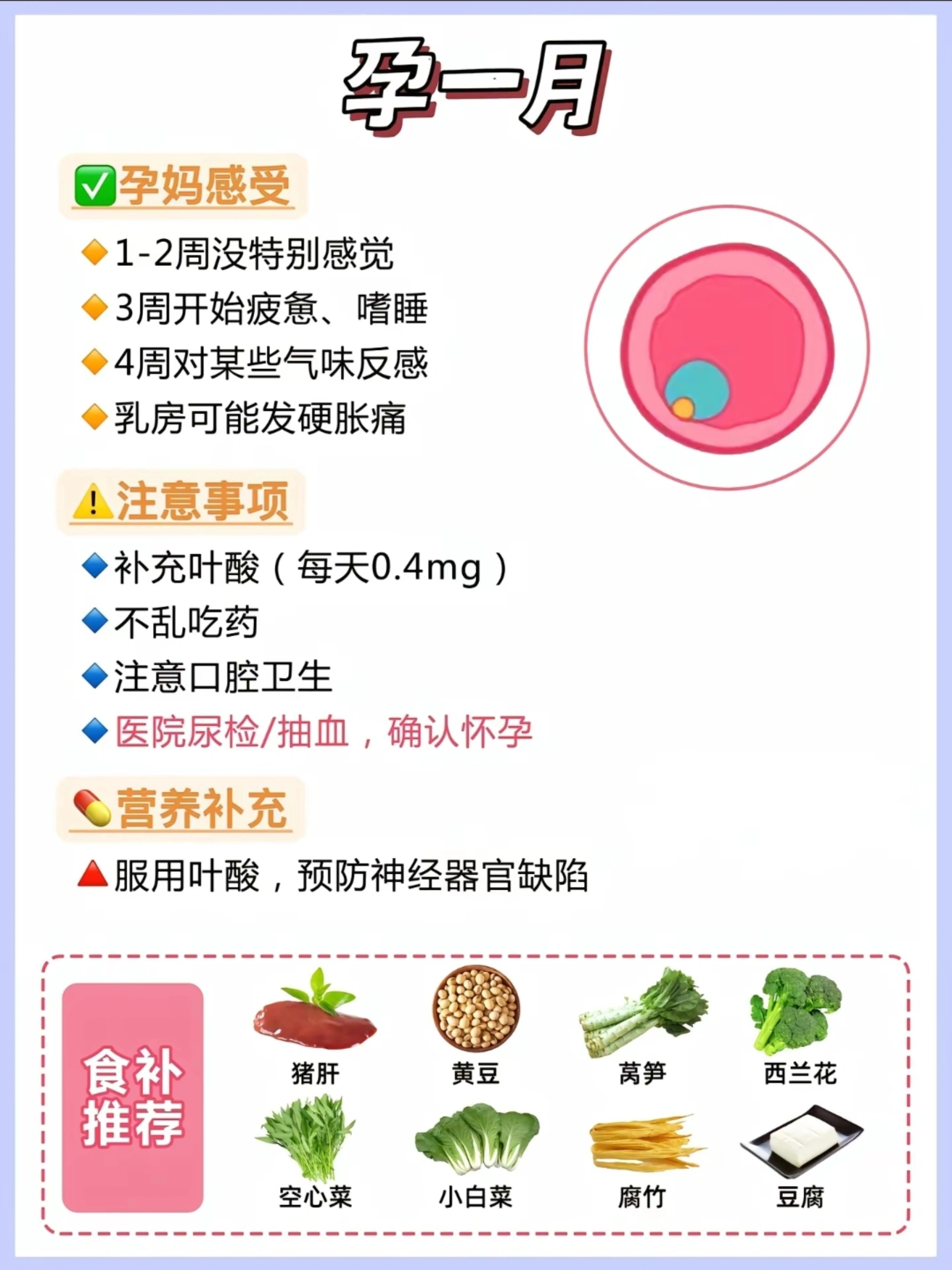 2.孕交注意事项，健康备孕技巧，科学受孕方法