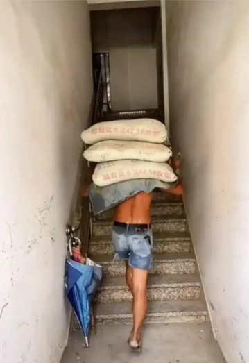 国产人与禽ZoZo性伦理探讨，多角度分析，深度解读社会现象