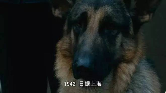 李淑敏大狼狗的爱情归宿，最终嫁给了谁，揭秘幸福结局