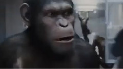 欧美大黄视频免费看精彩内容,高清画质,流畅播放,独家资源等你来发现 欧美大黄视频免费看精彩内容,高清画质,流畅播放,独家资源等你来发现