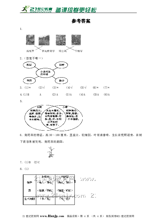 小草在线www.a分享绿色生活，探索自然奥秘，发现小草之美
