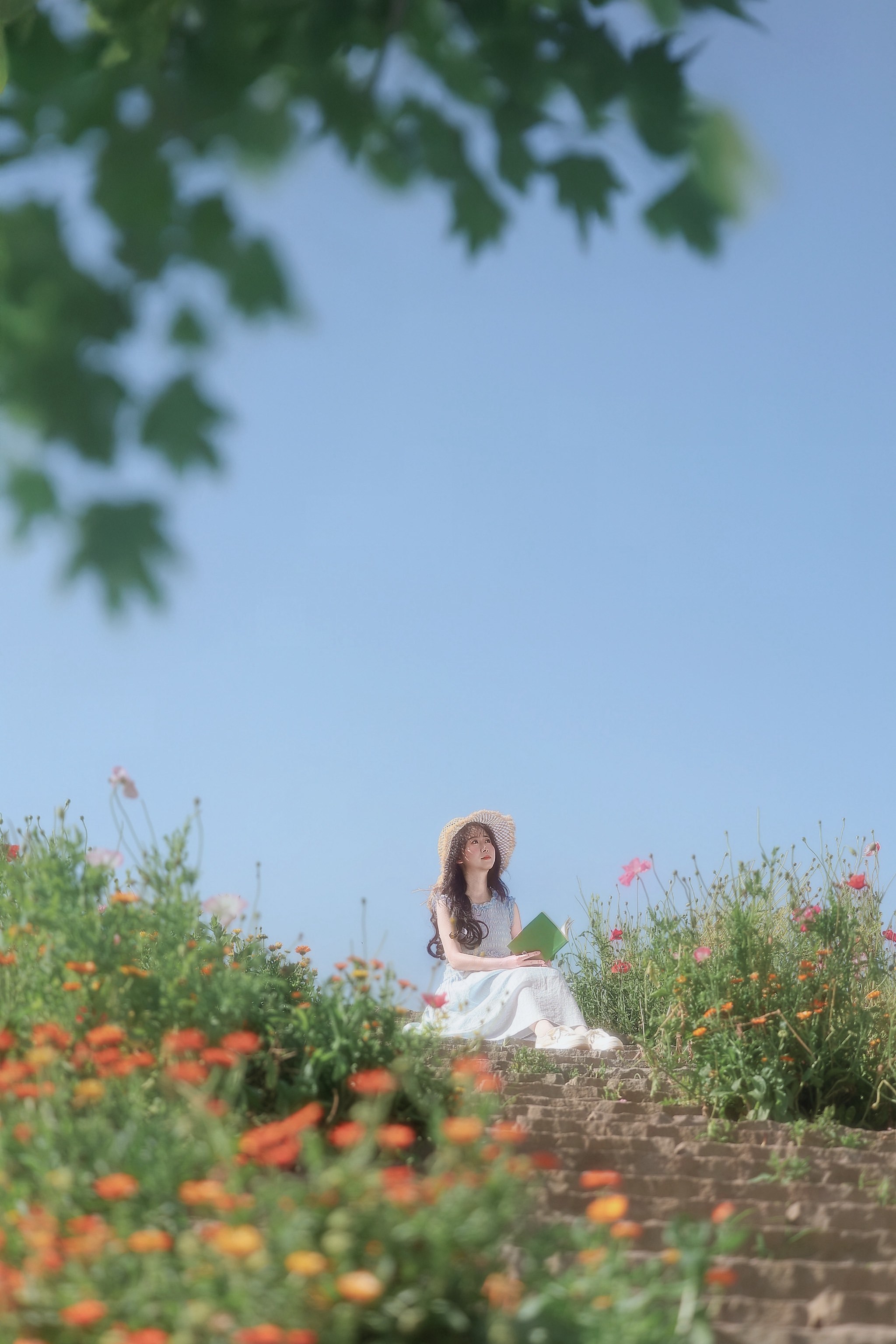 六月丁香AV绽放芬芳时节，浪漫初夏，邂逅醉人花海