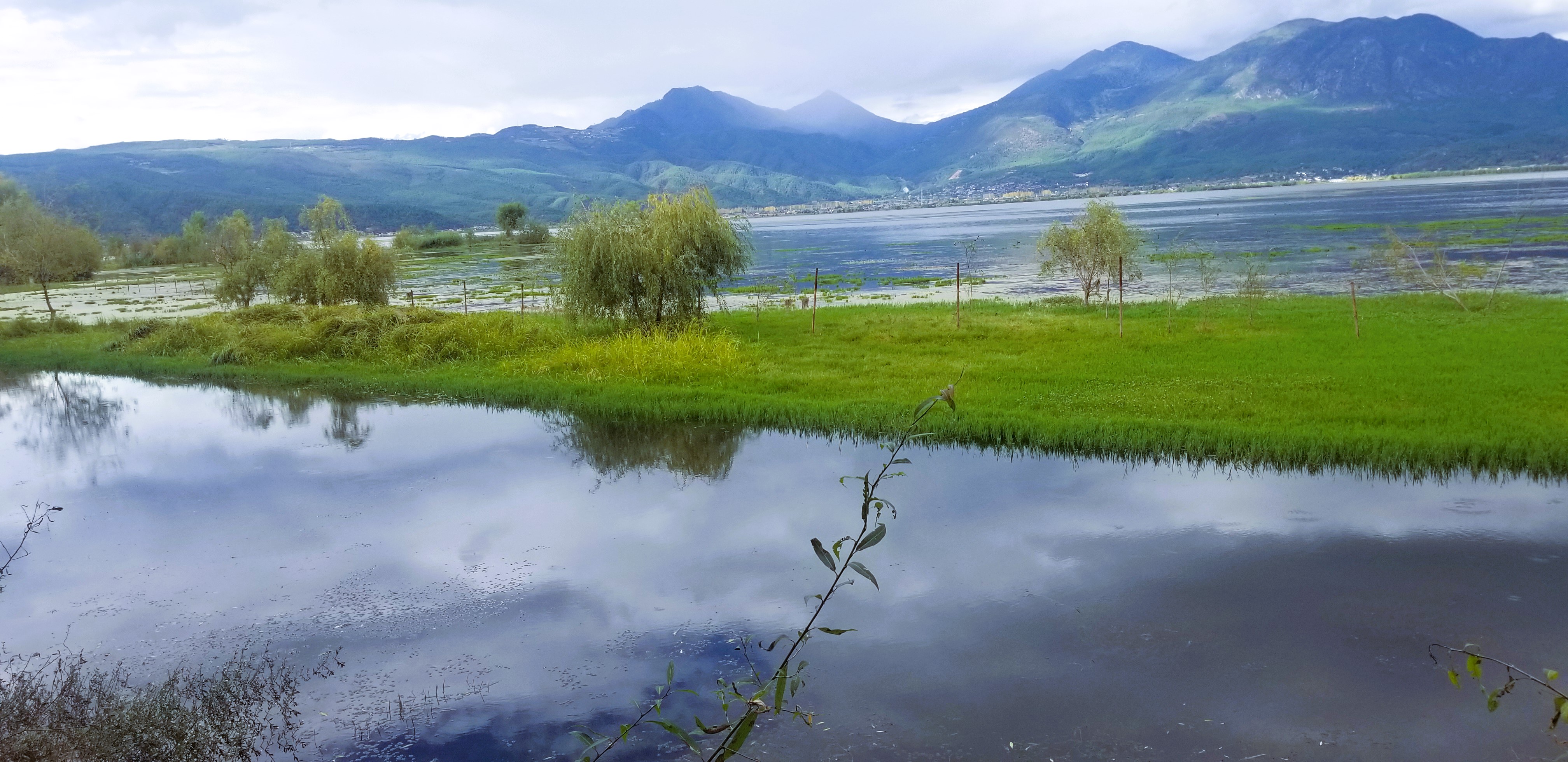 2.久久久青草国，探寻自然之美，绿色生态家园，共筑可持续发展未来