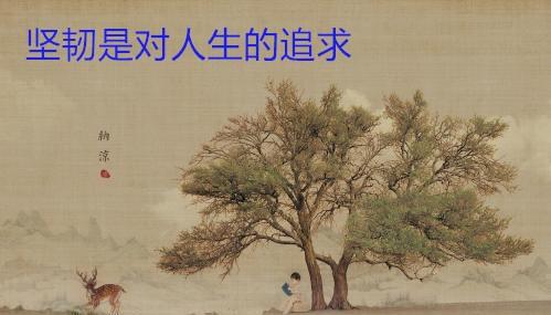 青海老熟妇的传奇故事，坚韧人生，温暖岁月