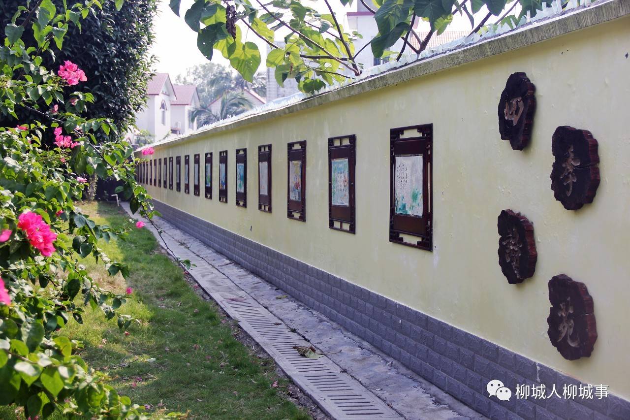 学生处浜久久精品破校园文化，青春记忆，成长故事永流传
