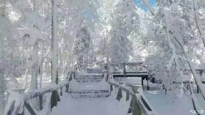 俄罗斯毛耸耸BBBBBB探秘冬日奇幻雪景与极光之旅，感受北国神秘魅力，体验独特冰雪文化