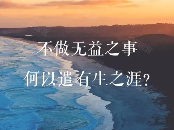 三八妇女节献礼两位优雅少妇的时尚穿搭指南，精致生活从细节开始，展现独特魅力