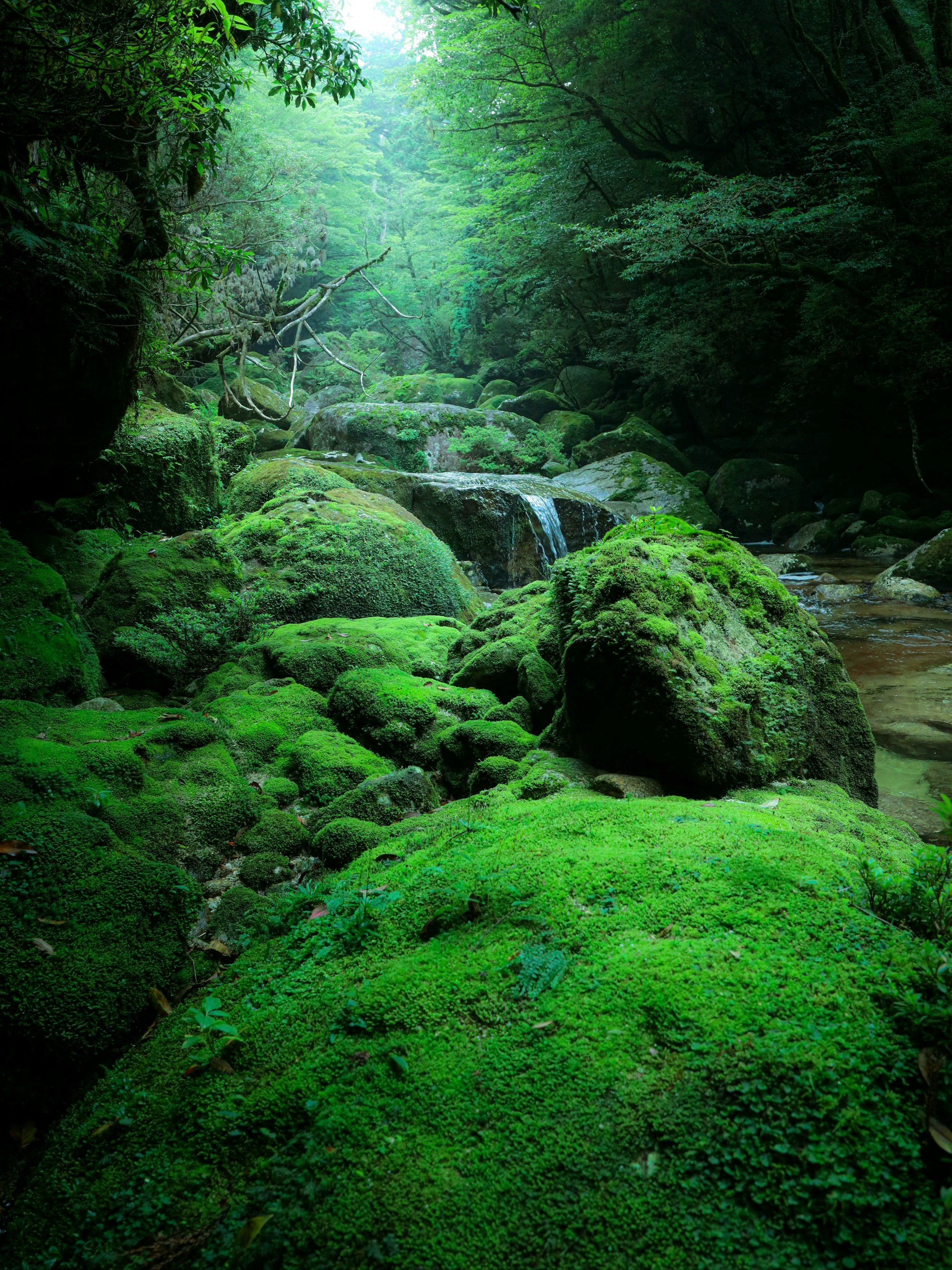 四川xxxxxx旅游攻略，探索秘境风光，体验独特民俗文化