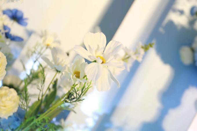 *久久婷婷丁香五月一二三，绽放初夏芬芳，邂逅浪漫花季，静待五月温柔*