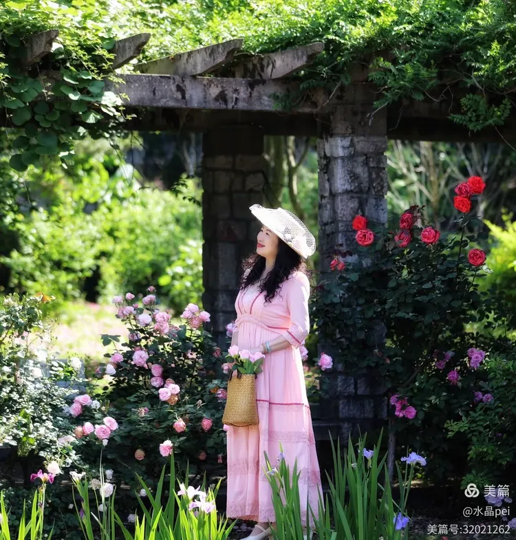 九月婷婷色韵绽放，秋意渐浓，温柔时光静好如诗